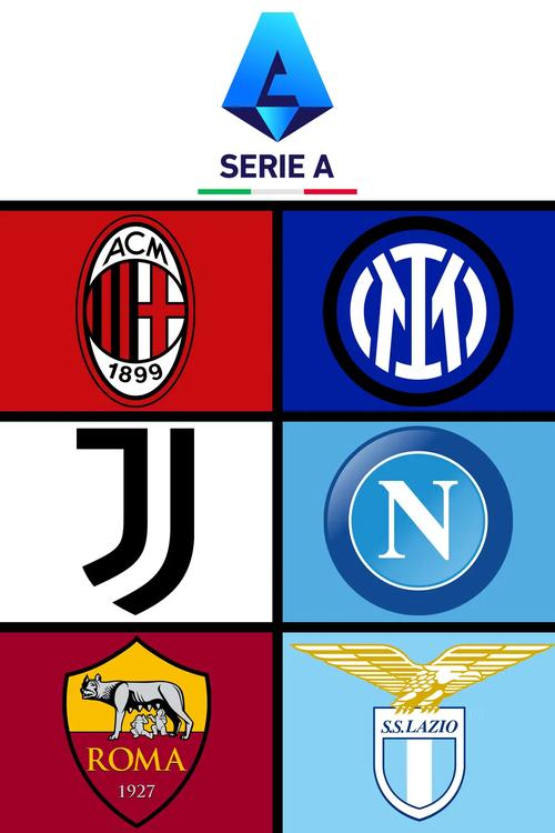 篮球篮网球队训练赛完成