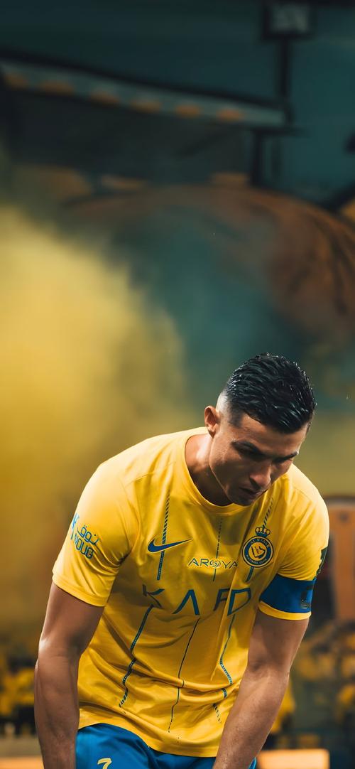 林子豪赛季成长评估